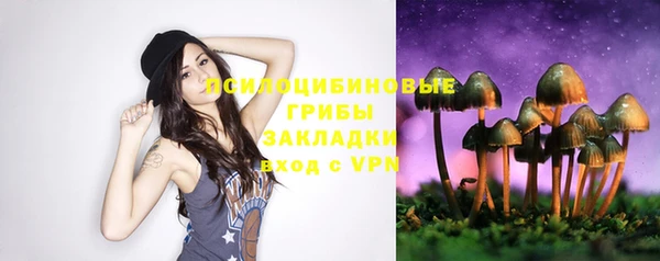 ALPHA-PVP Новозыбков