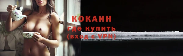 ALPHA-PVP Новозыбков