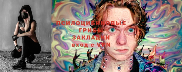 ALPHA PVP Новодвинск