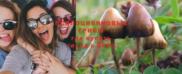 ALPHA PVP Новодвинск