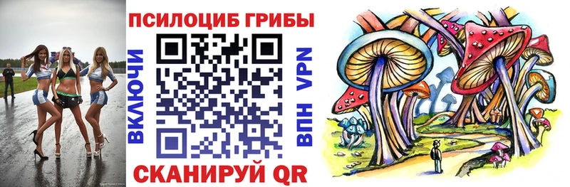 Галлюциногенные грибы Psilocybe  Тюкалинск 